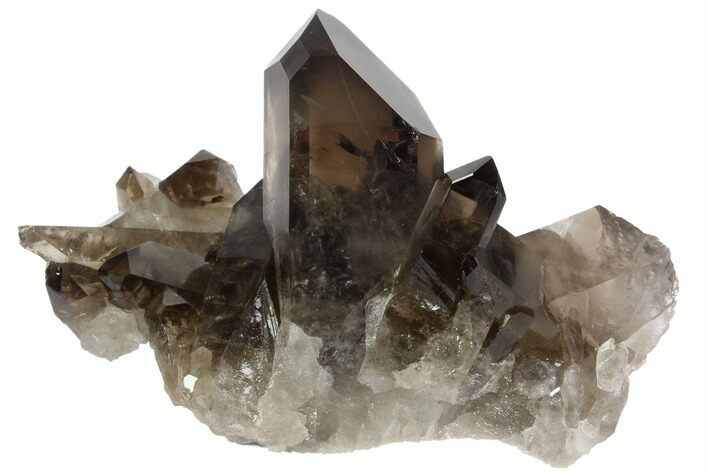 Dark Smoky Quartz Crystal Cluster - Brazil #84308